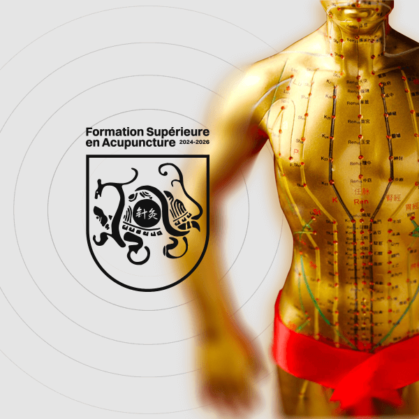 Mannequin d'acupuncture représentant les Théories de la Formation Supérieure en Acupuncture online