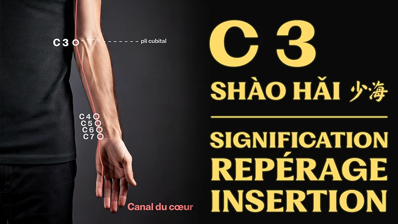 vignette du point d'acupuncture C 3 (shào hǎi 少海)