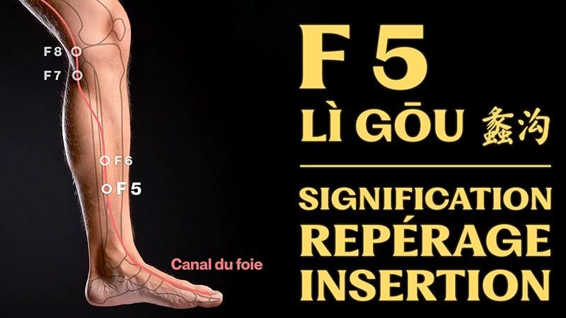 vignette du point d'acupuncture F 5 (lì gōu 蠡沟)