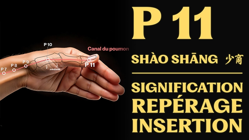 vignette du point d'acupuncture P 11 (shào shāng 少商)