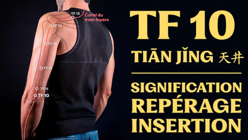 vignette du point d'acupuncture TF 10 (tiān jǐng 天井) 
