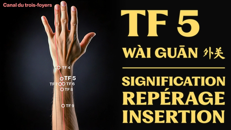 vignette du point d'acupuncture TF 5 (wài guān 外关)