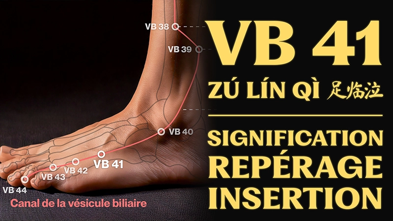 vignette du point d'acupuncture VB 41 (zú lín qì 足临泣)