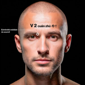 V 2 (cuán zhú 攒竹)